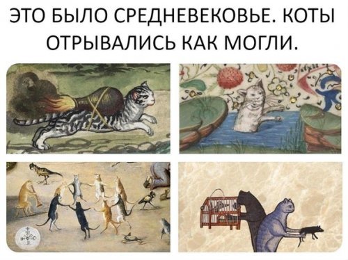 Сэр Котцевальд - Средневековье, Кот, Развлечения