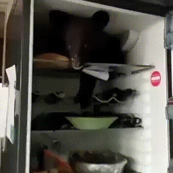 Ну ты даёшь,Михалыч!