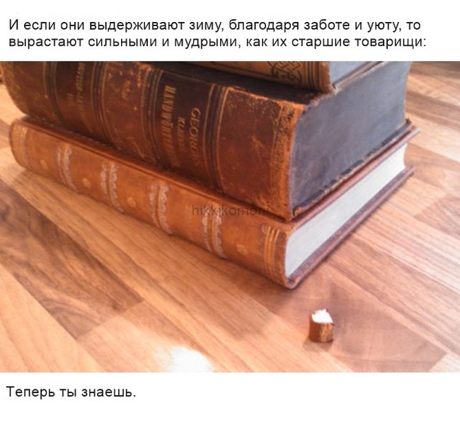 Откуда берутся  книги - Книги, Длиннопост, Tumblr