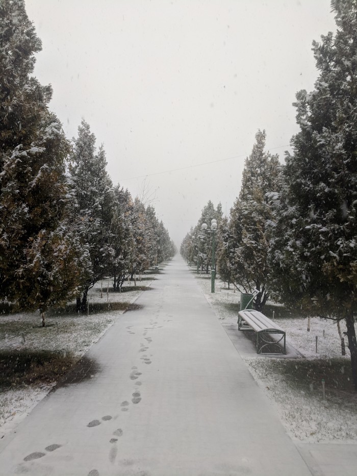 Weather in the South of Kazakhstan - Nature, My, Shymkent, Kazakhstan, Snow, Rain, Weather, South, beauty