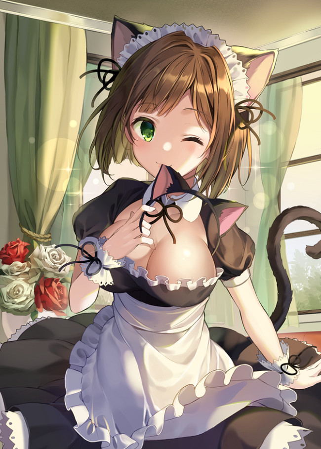 Miku Maekawa - Miku Maekawa, Idolmaster Cinderella Girls, Горничная, Ушастые, Неко, Anime Art, Сиськи, Грудь