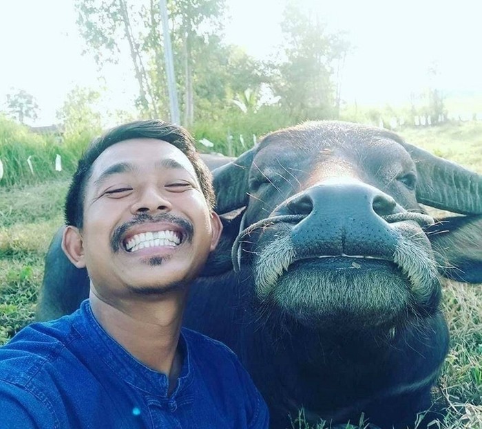 Handsome men! - The photo, Asians, Buffalo, Selfie