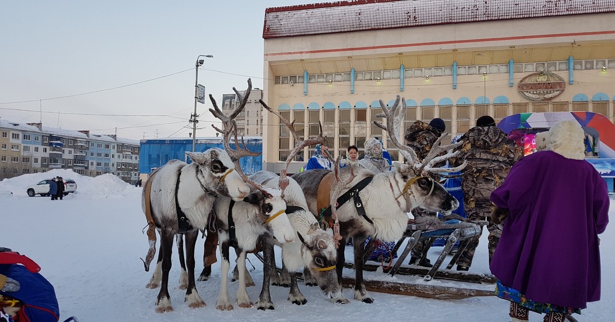 День воркуты