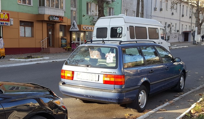 ���, �� �� �����?!