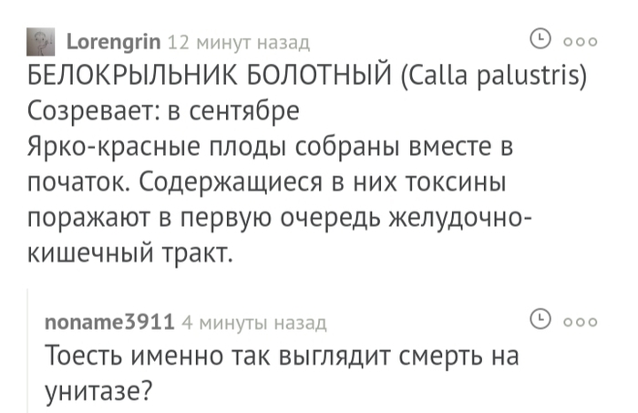 Смерть на унитазе - Комментарии на Пикабу, Смерть, Унитаз, Комментарии, Скриншот