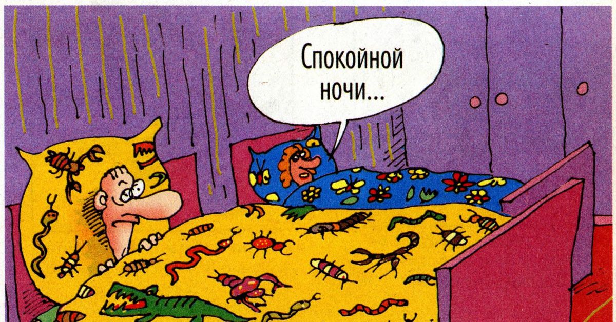 Доброй Ночи С Юмором Смешные Картинки