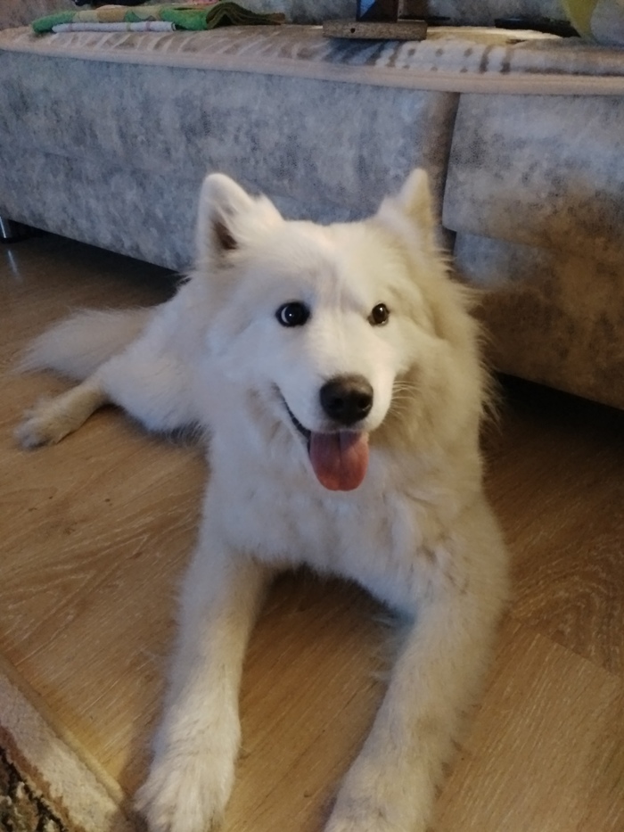 ������ ����� ��������� ����� ��������)