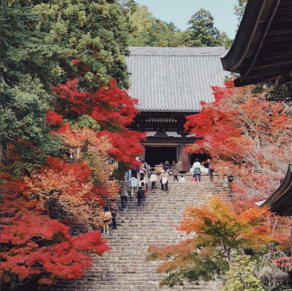 Kyoto. Japan - Kyoto, Japan, The photo, Longpost