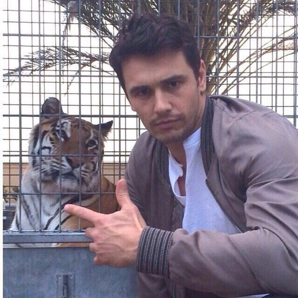 Big cat and some guy - Tiger, The photo, James Franco, Milota