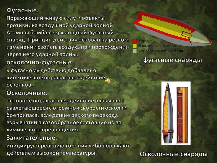 Номинация на премию Дарвина?