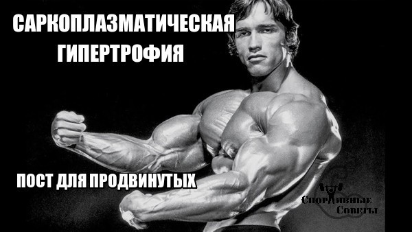 Sarcoplasmic hypertrophy. post for advanced - My, Sport, Тренер, Sports Tips, Muscle, Gym, Physiology, Scientists, Healthy lifestyle, Longpost