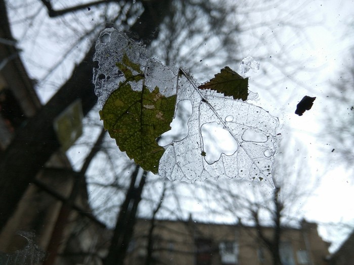 Осколки осени