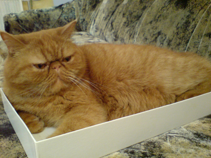 Насрал и лежать))