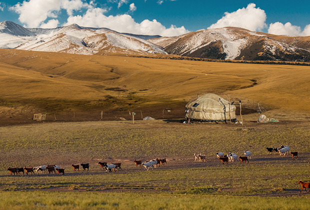 Kazakh drift. Rocks, traffic jams and samsa: why do Russians go to Almaty - Kazakhstan, Almaty, Almaty mountains, Travels, Issyk, Longpost