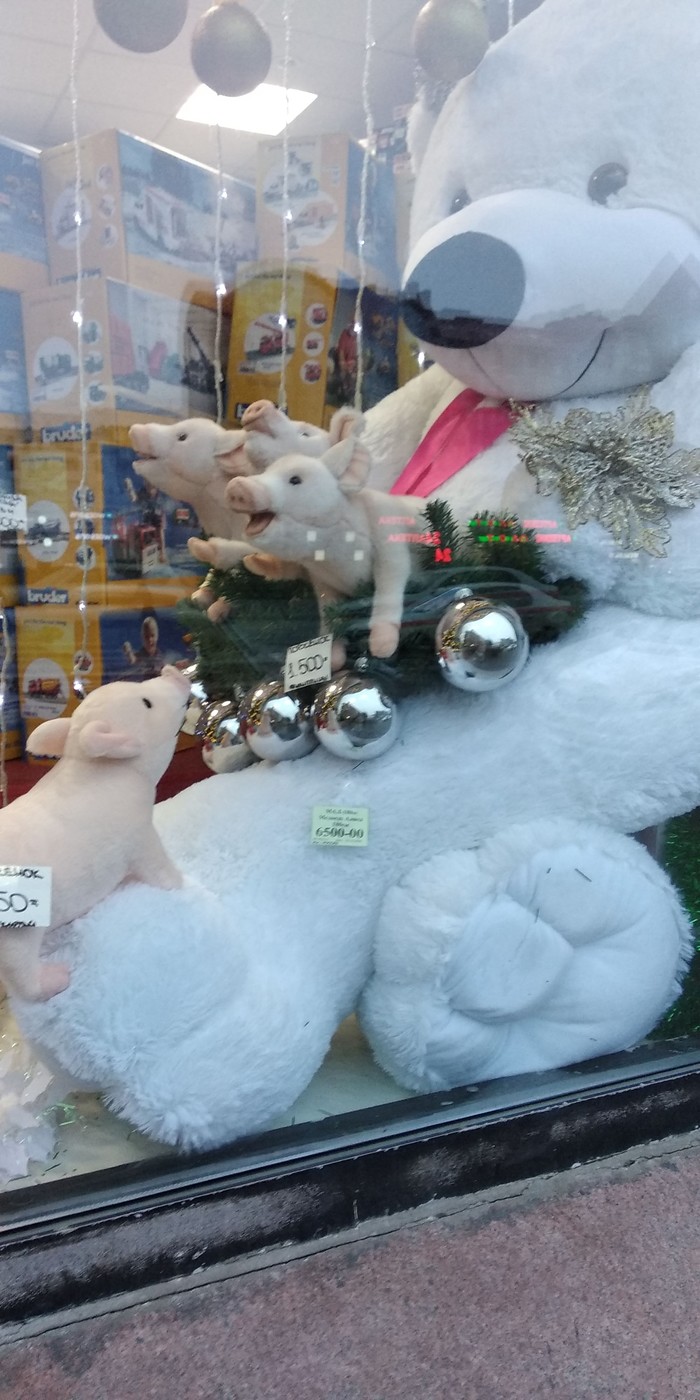 New Year's exposition - Showcase, The Bears, Piggy