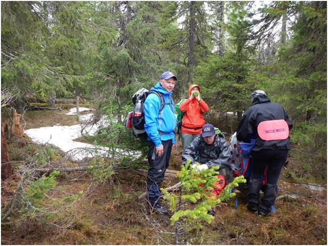 One May weekend on Mount Oslyanka (May 2016) - My, Hike, Tourism, Oslyanka, Middle Ural, Ural mountains, , Longpost