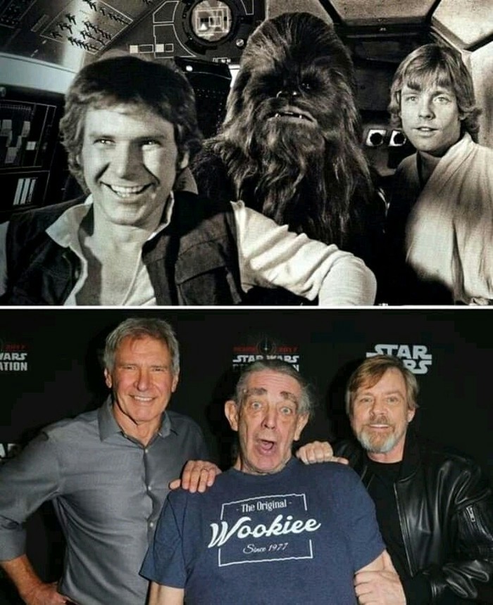 Years go by... Chewbacca has become like a man - Star Wars, Chewbacca, Han Solo, Luke Skywalker, The photo
