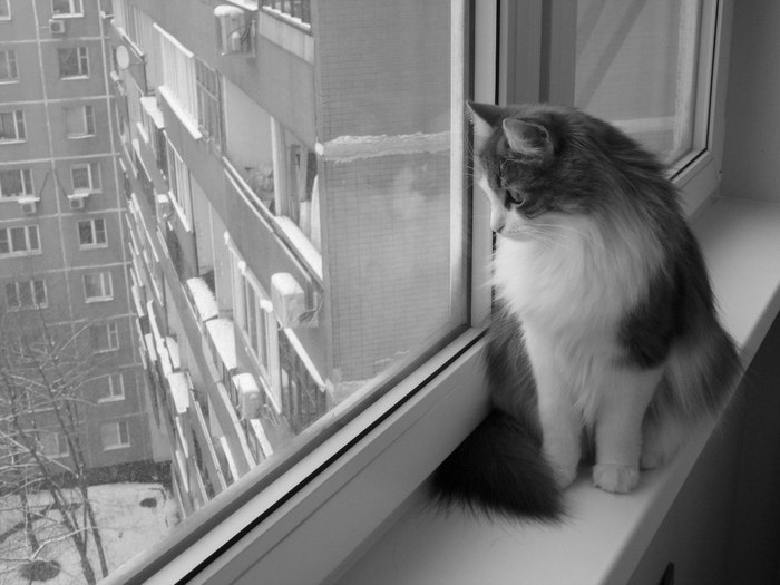 Похолодало