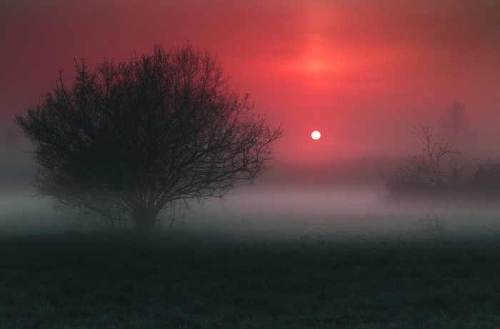 Scarlet mist.... - Nature, View, Fog, Scarlet, beauty