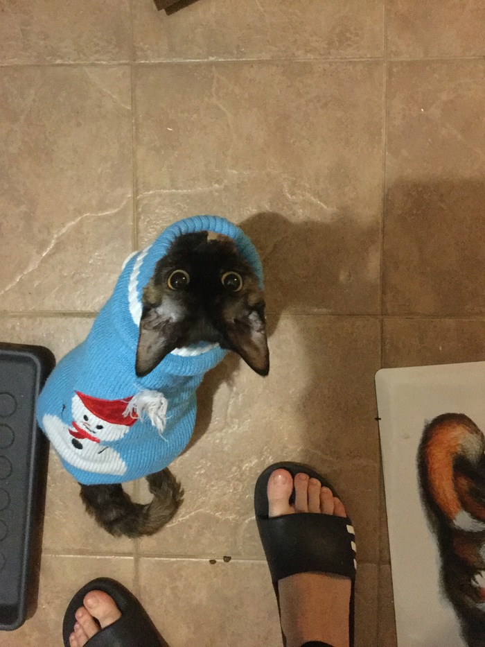 Праздник к нам приходит.