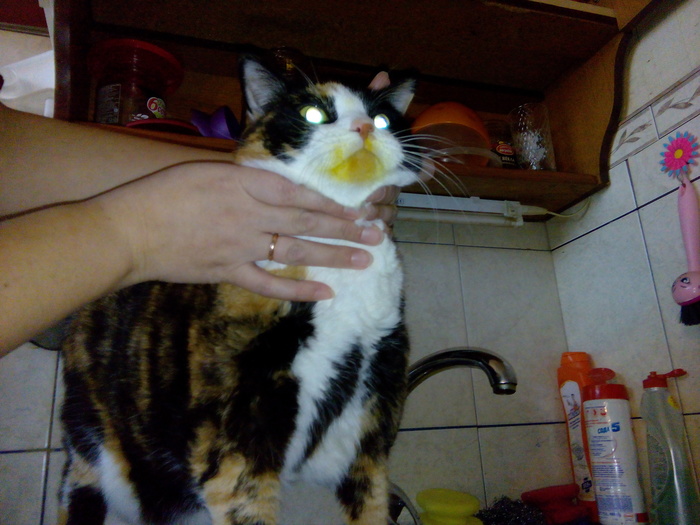 ��������� ����� �� ���������� ������ . ���������� , � ���� ����� ������ . ps. ��� ������ ����.