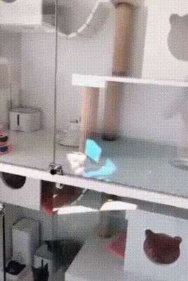 Зачем мне ваши дворцы?!