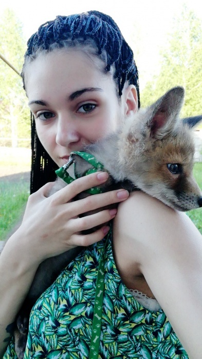 A Siberian woman brought a tame fox at home - he eats cat food and weaned the hostess's husband from throwing socks - Fox, Siberia, , Novosibirsk, Video, Longpost, Fox cubs, Domestic fox