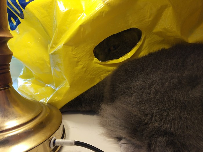 Внук пришел, тикай кто может