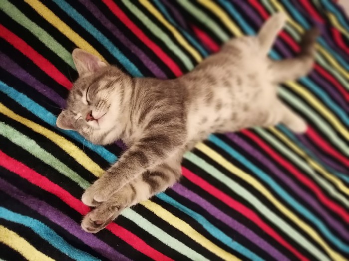 ��� ��� ������ ���� �������.