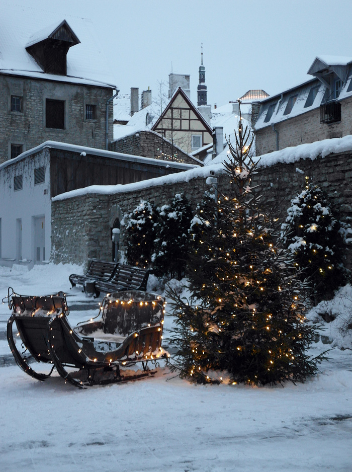 New Year in Tallinn - My, New Year, Tallinn, Winter, Longpost, The photo