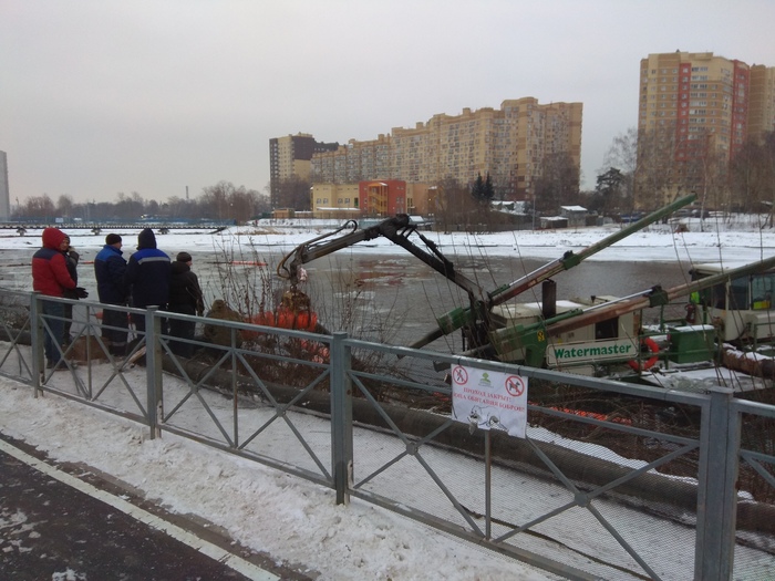 Once again about beavers in Mytishchi - My, Beavers, Mytischi, Help, No rating, Longpost, Helping animals