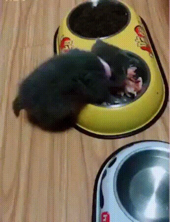    .  !