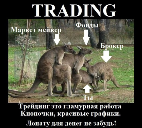 Второй шаг в мир трейдинга. - Моё, Трейдинг, Трейдер, Биржа, Forex, Акции, Деньги, Инвестиции, Кенгуру, Длиннопост