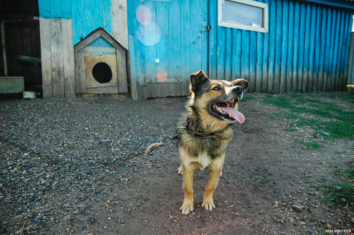 ����������� ���