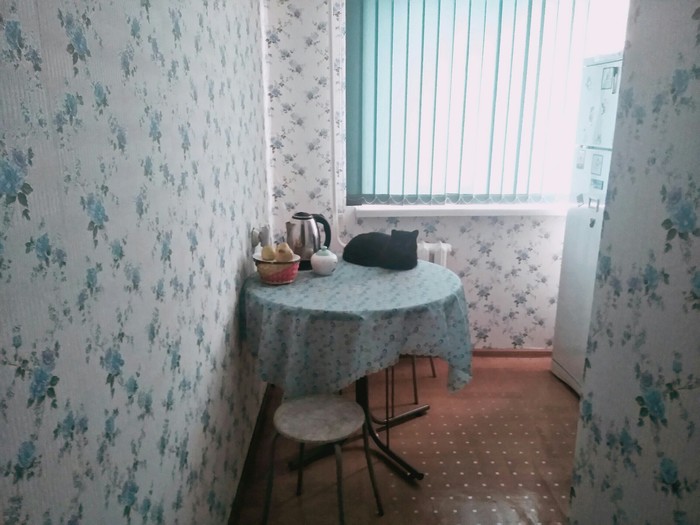 Просто Вася. Просто кот. Кот, Котомафия, Черный кот, Приют для животных, Длиннопост