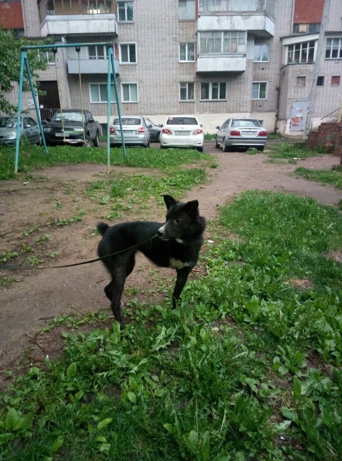   . [ ]  , , ,  ,  , , , ,  
