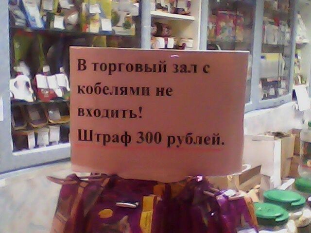 Кобелей оставляйте дома! - Моё, Зоомагазин, Объявление