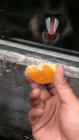    ... , , 