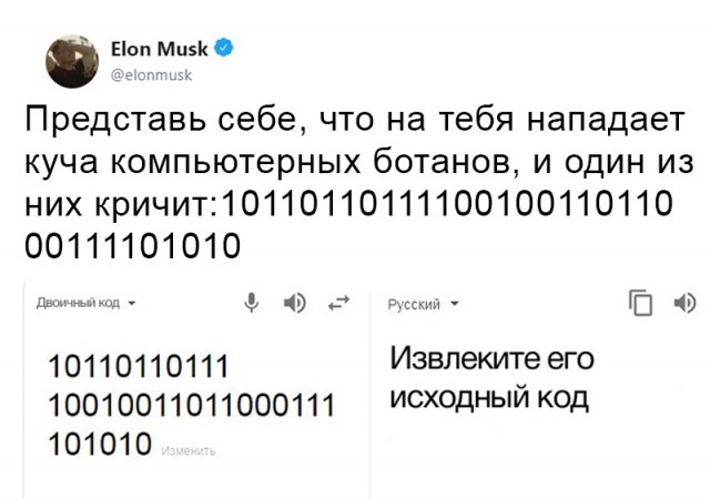 But fuck you, not the source code! - Elon Musk, Twitter, Humor, Source, From the network, Screenshot