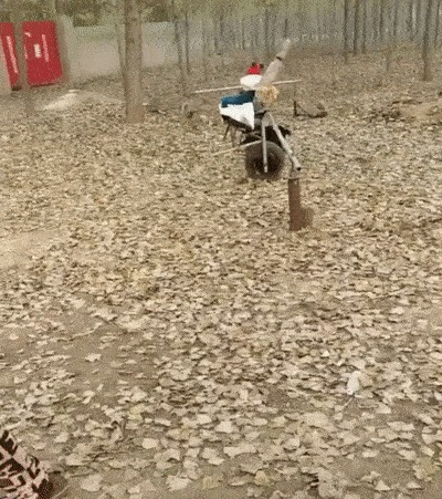 "Карусель, карусель"
