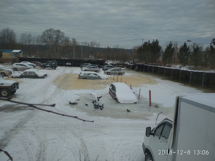 Paid parking, security level - maximum - Parking, freezing, What's happening?, Spring