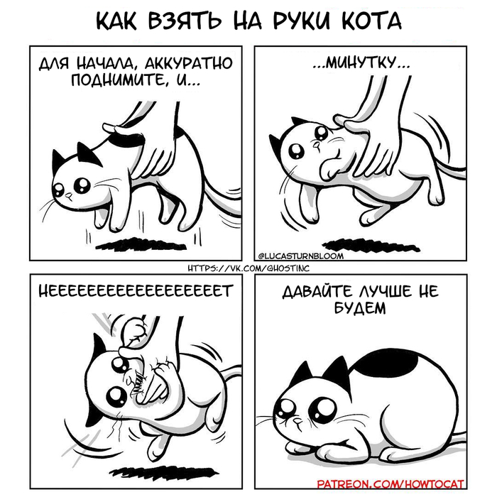 cat - Comics, Translated by myself, cat, Instructions, Lucas Turnbloom