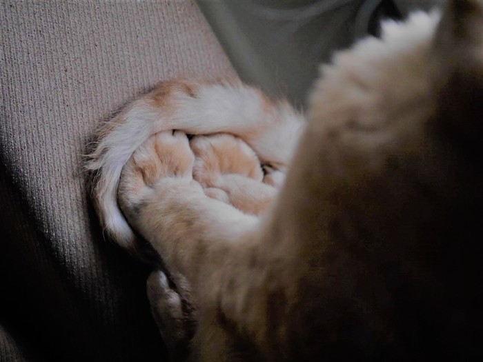   ^_^