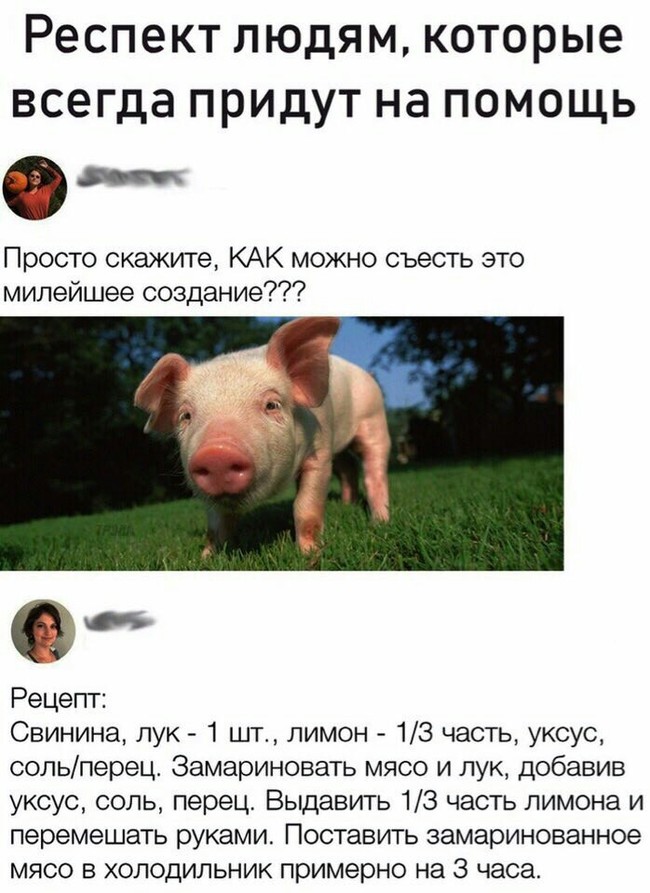 Когда не умеешь готовить - Помощь, Рецепт, Милота, Еда, Приготовление, Милейшее создание