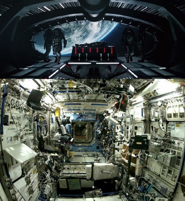 Humans vs Predator - My, ISS, Predator, Order, People