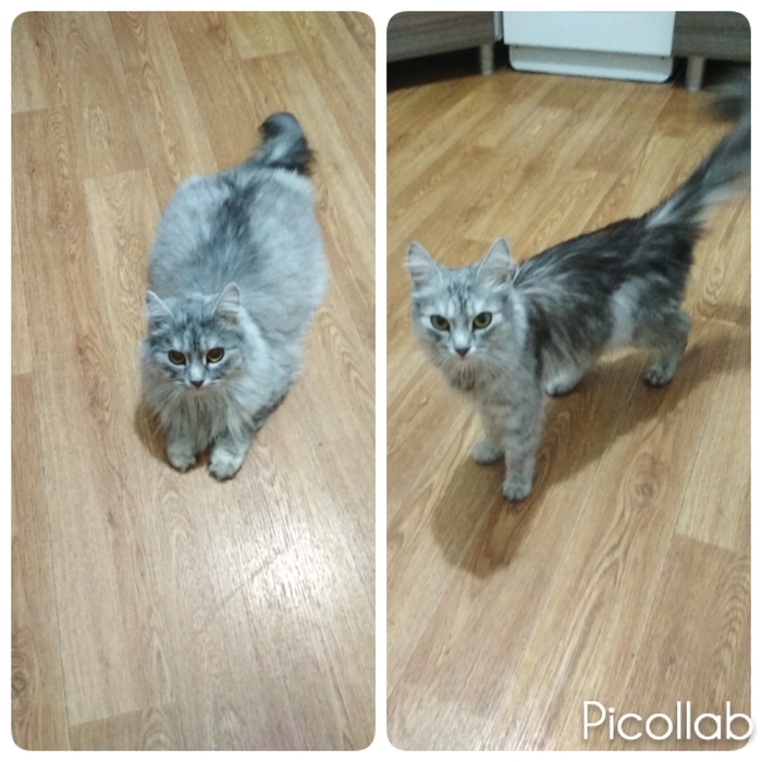 И я решила похвастаться) Было-стало..