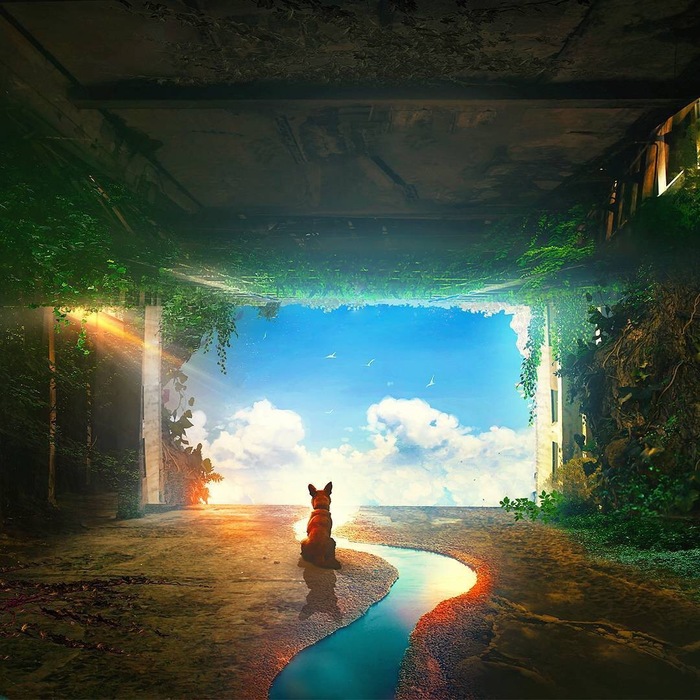 Fantastic photo manipulation by Martina Stiepan - Surrealism, Photoshop, Art, Longpost, T1na