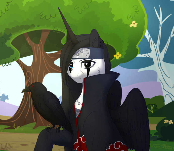... My Little Pony, ,  , 