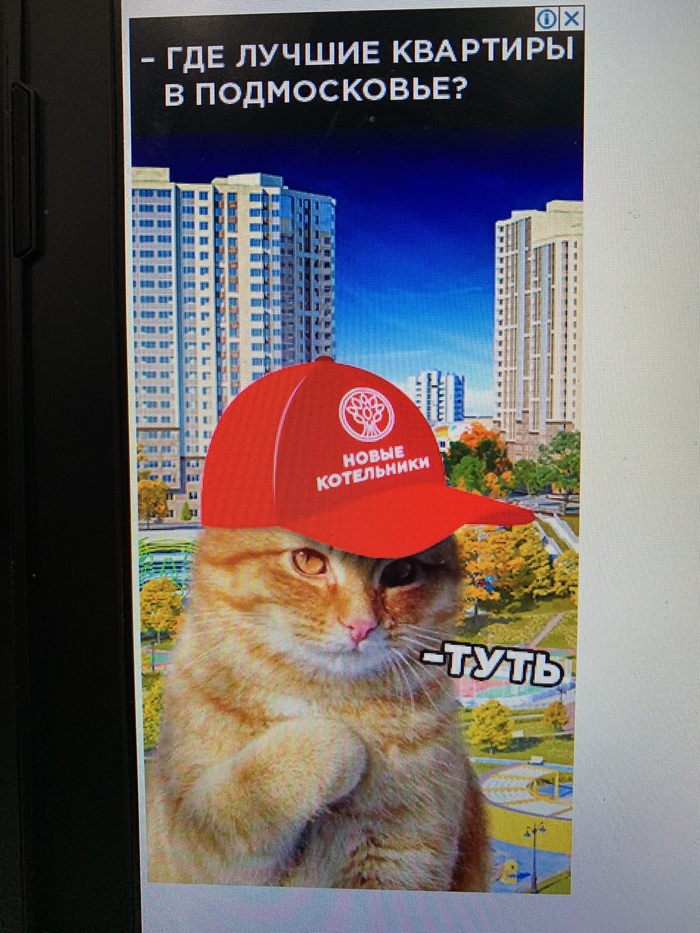 Contextual advertising issued) - Advertising, cat