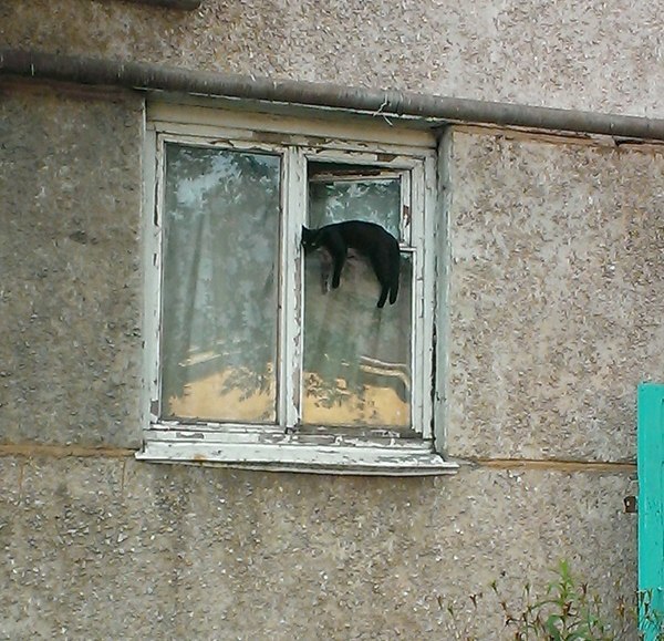 тоска